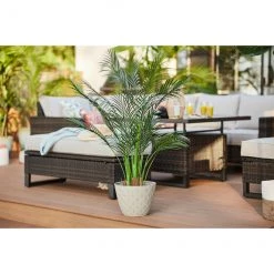 Palmier artificiel Allen + Roth, 5 x 5 x 40 po, vert -ALLEN + ROTH Soldes Boutique 01435018e L