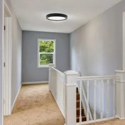 Plafonnier Allen + Roth, métal et plastique, noir mat, 14 po x 14 po, paquet de 2 -ALLEN + ROTH Soldes Boutique 12195082d L