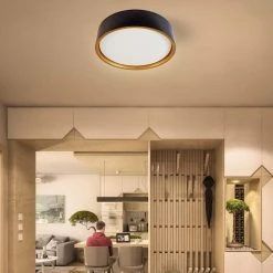 Plafonnier Allen + Roth, intensité réglable, 22 W, 14 po x 14 po, noir -ALLEN + ROTH Soldes Boutique 12195084d L