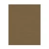 Tapis extérieur Chantry Allen + Roth, 8 pi x 10 pi, marron