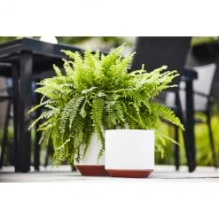 Jardinière extérieur Allen + Roth en céramique blanche de 7,5 po x 7,85 po -ALLEN + ROTH Soldes Boutique 43445214c L