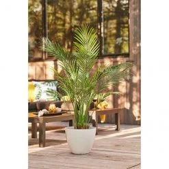 Jardinière blanche Allen + Roth de 16,4 po L x 14,3 po H résine (1/pqt) -ALLEN + ROTH Soldes Boutique 44335088c L