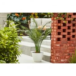 Jardinière blanche Allen + Roth de 16,4 po L x 14,3 po H résine (1/pqt) -ALLEN + ROTH Soldes Boutique 44335088e L