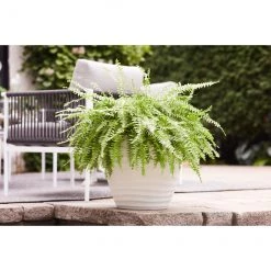 Jardinière blanche matte Allen + Roth de 15,4 po L x 13,8 po H en résine (1/pqt) -ALLEN + ROTH Soldes Boutique 44335090c L