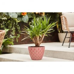 Jardinière auburn Lapidus de Allen + Roth de 15,1 po L x 12 po H en résine (1/pqt) 6 Jardinière auburn Lapidus de Allen + Roth de 15,1 po L x 12 po H en résine (1/pqt) -ALLEN + ROTH Soldes Boutique 44335092c L