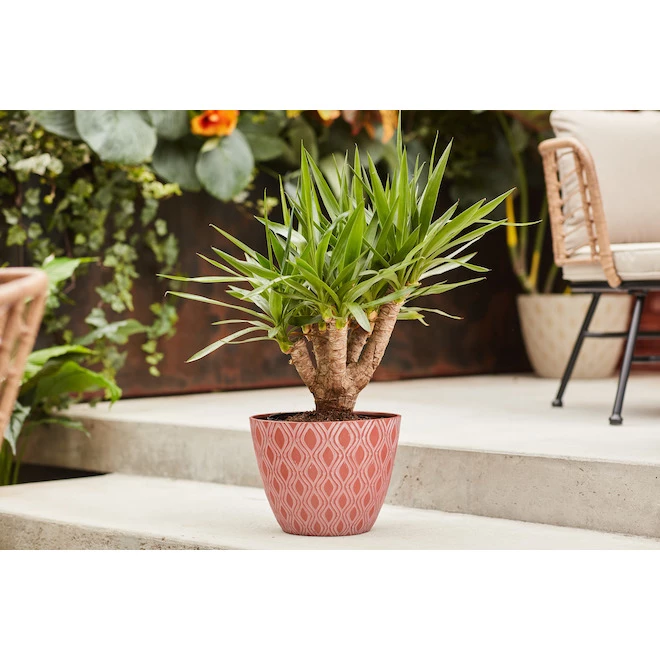 Jardinière auburn Lapidus de Allen + Roth de 15,1 po L x 12 po H en résine (1/pqt) 3 Jardinière auburn Lapidus de Allen + Roth de 15,1 po L x 12 po H en résine (1/pqt) – Image 3