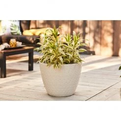 Jardinière blanc cassé Allen + Roth de 15,2 po L x 12 po H en résine (1/pqt) -ALLEN + ROTH Soldes Boutique 44335096c L