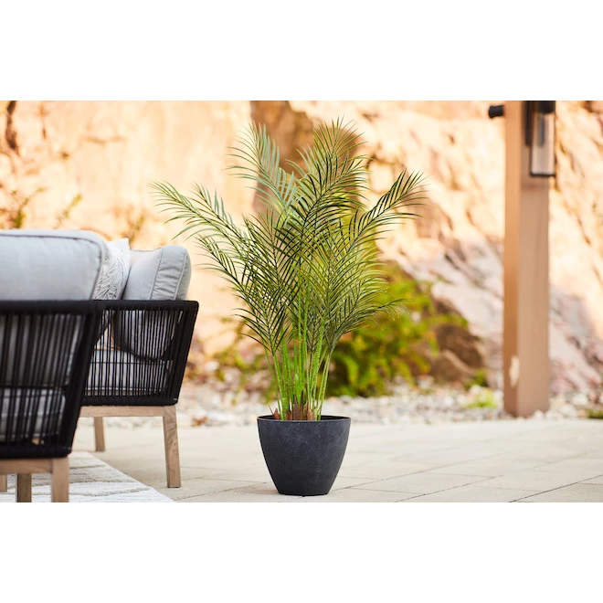 Pot de fleurs Allen + Roth en imitation béton, 16,4 po x 14,3 po, noir 2 Pot de fleurs Allen + Roth en imitation béton, 16,4 po x 14,3 po, noir – Image 2