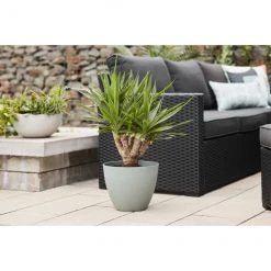 Jardinière gris mat Allen + Roth de 16,4 po L x 14,3 po H en résine (1/pqt) 7 Jardinière gris mat Allen + Roth de 16,4 po L x 14,3 po H en résine (1/pqt) -ALLEN + ROTH Soldes Boutique 44335105c L