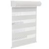 ALLEN + ROTH Store sans corde alterné double, jour/nuit, 36" x 72", blanc