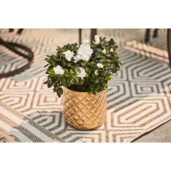 Jardinière en métal or Allen + Roth de 8,25 po L x 8,25 po H (1/pqt) 7 Jardinière en métal or Allen + Roth de 8,25 po L x 8,25 po H (1/pqt) -ALLEN + ROTH Soldes Boutique 44945161c L