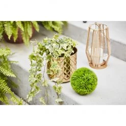 Jardinière en métal or Allen + Roth de 8,25 po L x 8,25 po H (1/pqt) 8 Jardinière en métal or Allen + Roth de 8,25 po L x 8,25 po H (1/pqt) -ALLEN + ROTH Soldes Boutique 44945161d L