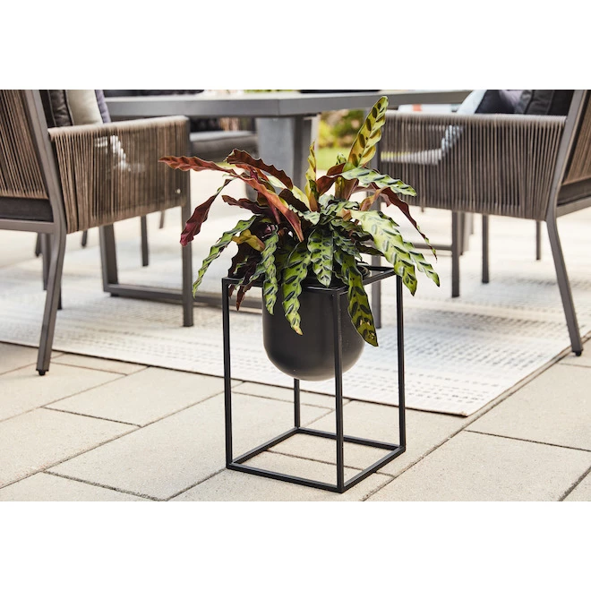 Jardinière en métal noir Allen + Roth de 10 po L x 14 po H (1/pqt) 2 Jardinière en métal noir Allen + Roth de 10 po L x 14 po H (1/pqt) – Image 2