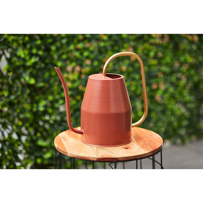 Arrosoir pour le jardinage Allen + Roth de style traditionnel, 1,1 gal, métal, rouge-brun et or 2 Arrosoir pour le jardinage Allen + Roth de style traditionnel, 1,1 gal, métal, rouge-brun et or – Image 2