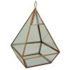 ALLEN + ROTH Terrarium en verre « City Oasis », 12" X 7,5" X 7,5", or